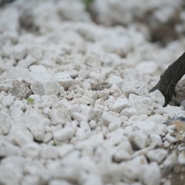 Close-up image of chalky soil in a vineyard, highlighting the rocky ground typical for English quality sparkling wine grape cultivation. The soil composition plays a key role in the premium craftsmanship of Domaine Evremond sparkling wine by influencing vine health and grape quality.