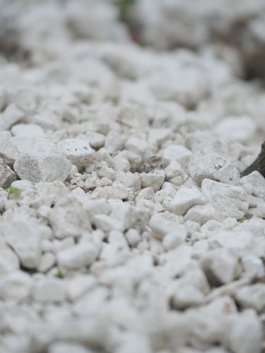 Close-up image of chalky soil in a vineyard, highlighting the rocky ground typical for English quality sparkling wine grape cultivation. The soil composition plays a key role in the premium craftsmanship of Domaine Evremond sparkling wine by influencing vine health and grape quality.