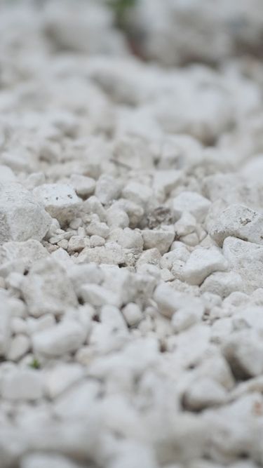 Close-up image of chalky soil in a vineyard, highlighting the rocky ground typical for English quality sparkling wine grape cultivation. The soil composition plays a key role in the premium craftsmanship of Domaine Evremond sparkling wine by influencing vine health and grape quality.