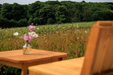 A serene vineyard scene featuring rows of grapevines extending toward a dense forest backdrop. In the foreground, a wooden table with a small vase holding pink and white flowers is accompanied by a wooden chair, evoking a peaceful setting for relaxation or tasting in a vineyard environment.
