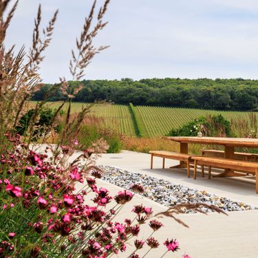 A serene outdoor setting featuring a long wooden table and benches on a paved patio. The backdrop reveals rows of lush green vineyard, framed by colorful wildflowers and a distant forest under a clear sky. This peaceful scene evokes a refined rural atmosphere ideal for gatherings amidst natural beauty.