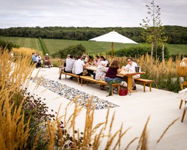 A group of people enjoying an outdoor wine tasting at a scenic vineyard setting with rows of grapevines in the background. The scene reflects the premium craftsmanship and relaxed atmosphere typical of Domaine Evremond English quality sparkling wine experiences. The summer seating area with a large umbrella enhances the refined leisure activity in this vineyard estate.