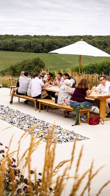 A group of people enjoying an outdoor wine tasting at a scenic vineyard setting with rows of grapevines in the background. The scene reflects the premium craftsmanship and relaxed atmosphere typical of Domaine Evremond English quality sparkling wine experiences. The summer seating area with a large umbrella enhances the refined leisure activity in this vineyard estate.