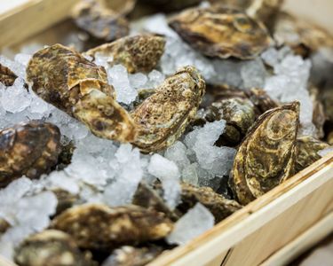 Close-up image of fresh oysters resting on a bed of crushed ice in a wooden crate. The textures of the oyster shells contrast with the translucent ice, highlighting freshness and seafood presentation. This scene evokes a premium culinary setting but shows no direct connection to English quality sparkling wine or Domaine Evremond.