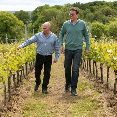 Two men walk through orderly vineyard rows, inspecting the vibrant grapevines under a partly cloudy sky. The scene reflects the care and attention involved in cultivating English quality sparkling wine. The setting suggests a premium vineyard environment associated with Domaine Evremond English quality sparkling wine production in Kent.