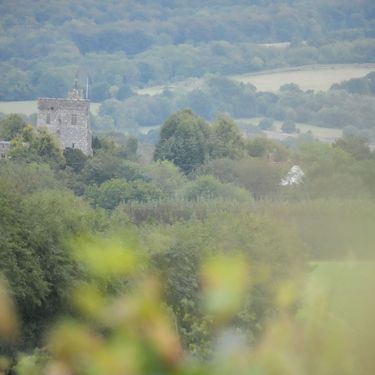 A scenic rural landscape featuring a historic stone tower surrounded by dense green trees and rolling hills. The image captures a tranquil countryside atmosphere with mixed woodland and open fields extending into the distance. The muted colors and soft focus in the foreground emphasize the natural setting of the English countryside.