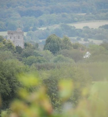 A scenic rural landscape featuring a historic stone tower surrounded by dense green trees and rolling hills. The image captures a tranquil countryside atmosphere with mixed woodland and open fields extending into the distance. The muted colors and soft focus in the foreground emphasize the natural setting of the English countryside.