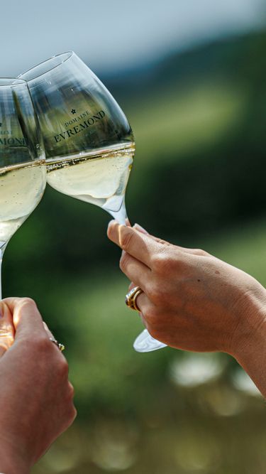 Two people clinking glasses of Domaine Evremond sparkling wine outdoors, with a blurred green landscape in the background. The image captures the elegance of English quality sparkling wine enjoyed in a natural setting, reflecting premium craftsmanship and a moment of celebration.