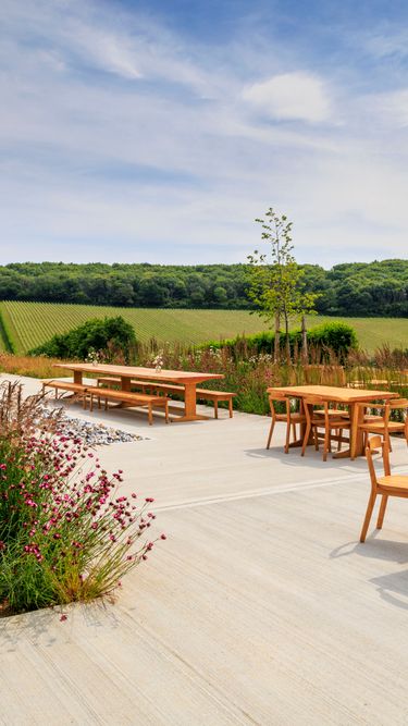An outdoor patio area featuring wooden tables and chairs overlooking lush green vineyard rows and surrounding countryside. The setting captures a tranquil, natural ambiance under a clear sky, ideal for enjoying scenic views. Wildflowers and ornamental grasses border the seating area, enhancing the refined vineyard environment.
