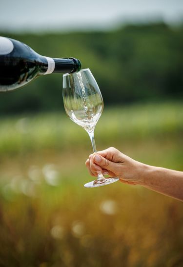 A close-up of a hand holding a Domaine Evremond branded glass while sparkling wine is being poured from a bottle. The blurred green vineyard background highlights the estate's English quality sparkling wine and premium craftsmanship. This image captures the elegance of tasting experiences at Domaine Evremond.