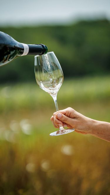 A close-up of a hand holding a Domaine Evremond branded glass while sparkling wine is being poured from a bottle. The blurred green vineyard background highlights the estate's English quality sparkling wine and premium craftsmanship. This image captures the elegance of tasting experiences at Domaine Evremond.