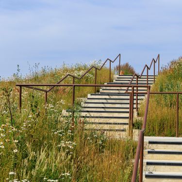 A concrete staircase with metal handrails ascending through a natural landscape of tall grasses and white wildflowers under a blue sky. The stairs lead up to a modern structure partially visible at the top right, blending nature with architectural elements. The scene captures a peaceful outdoor setting with a combination of greenery and minimalistic design.